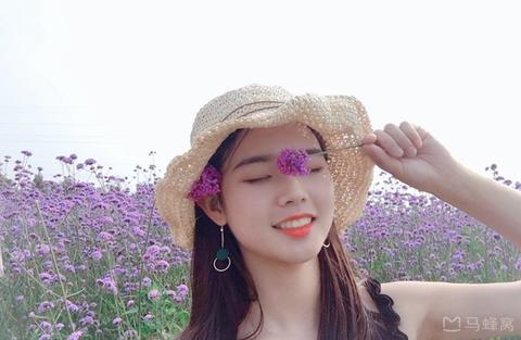 图标