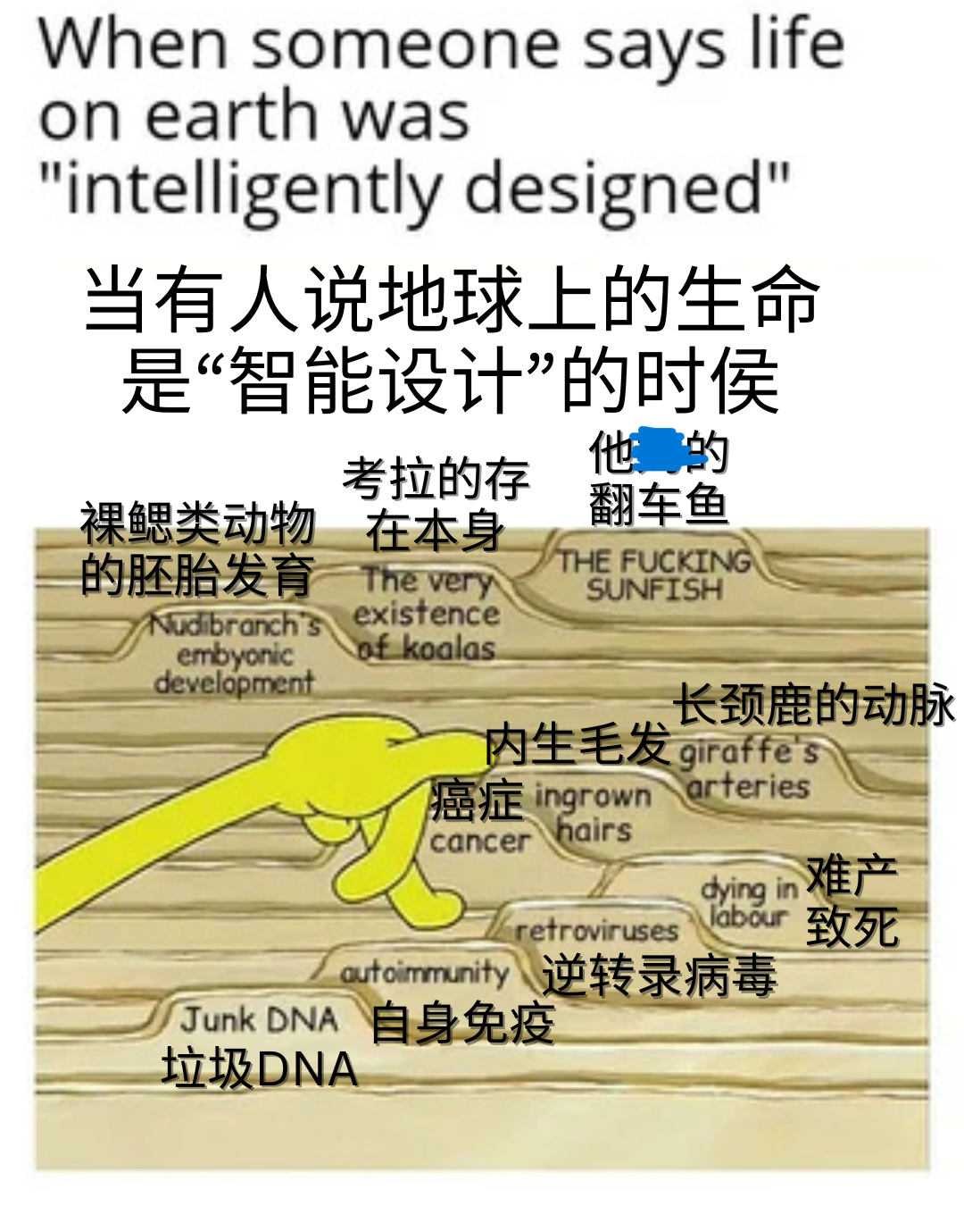 【每日meme】生物学篇（1） - 知乎