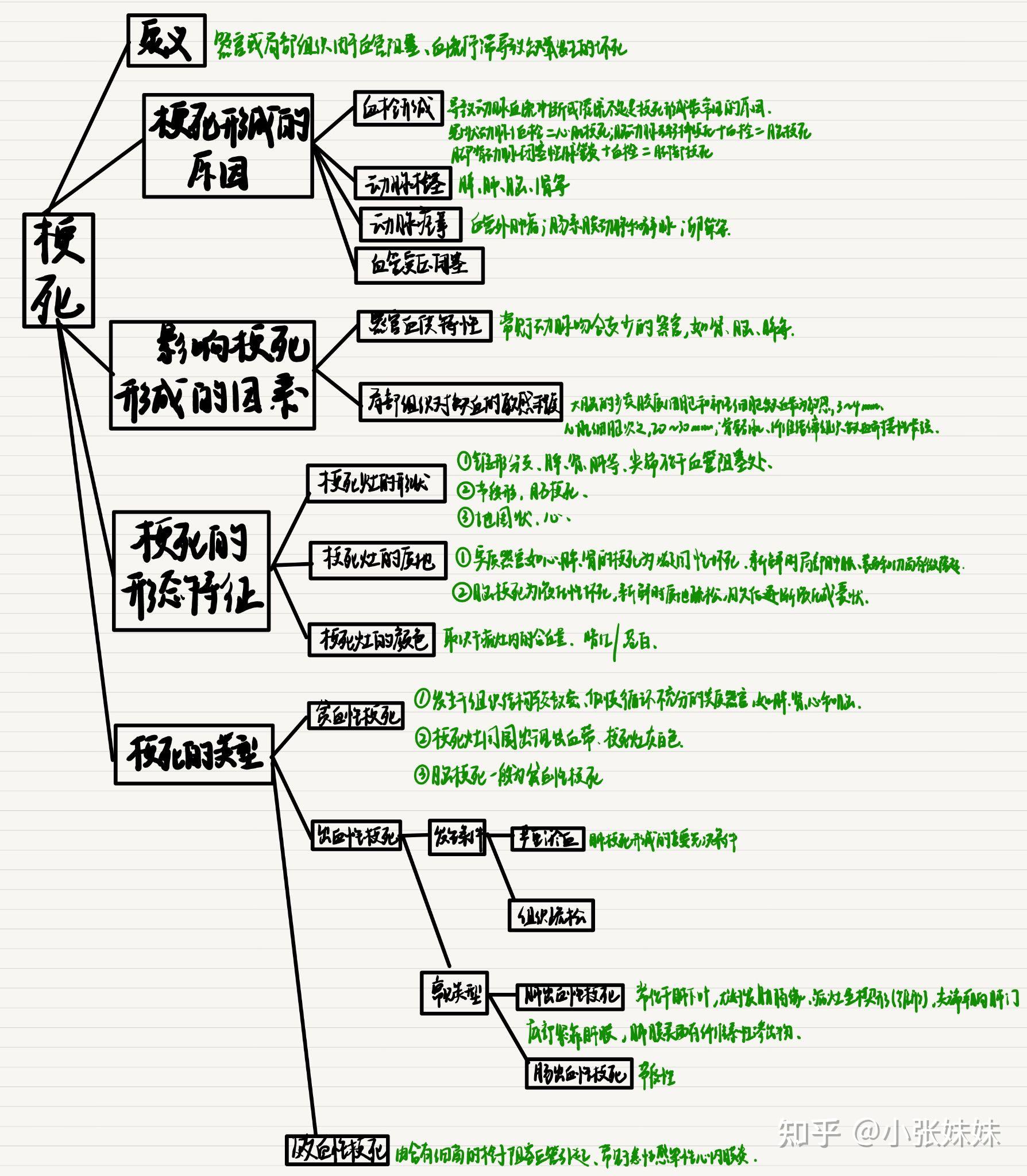 病理学思维导图高清pdf图片