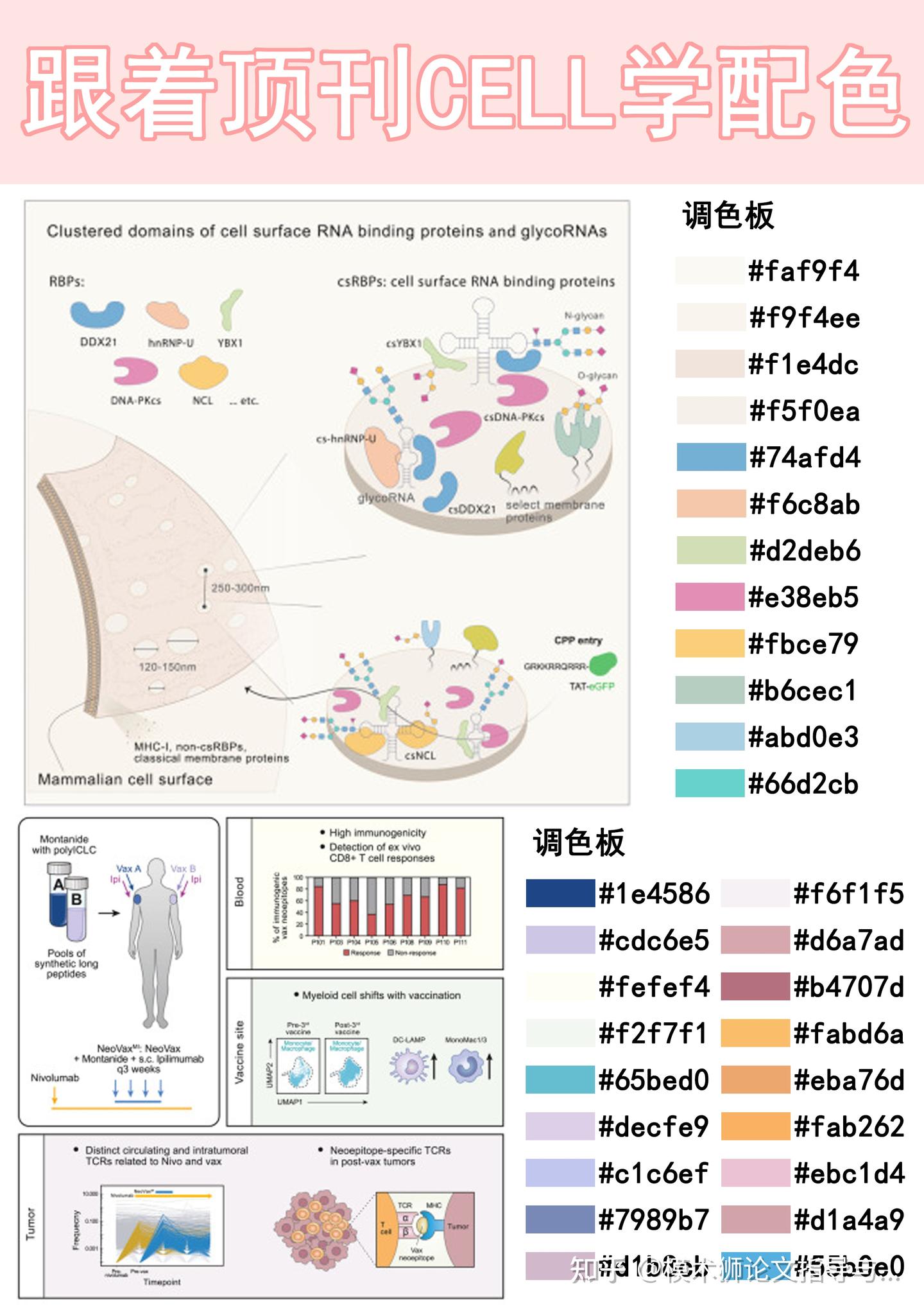Cell Design Color 跟着顶刊学配色——Cell篇 - 知乎