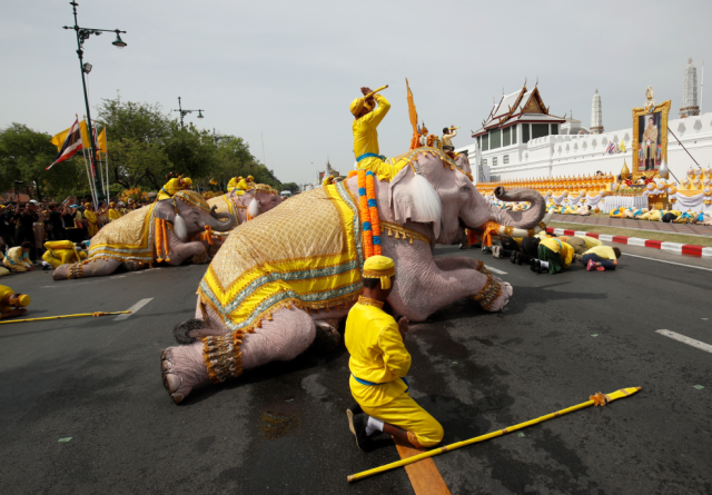 叛军的战象依次被勤王部队打断了象腿,并且单手擒住.