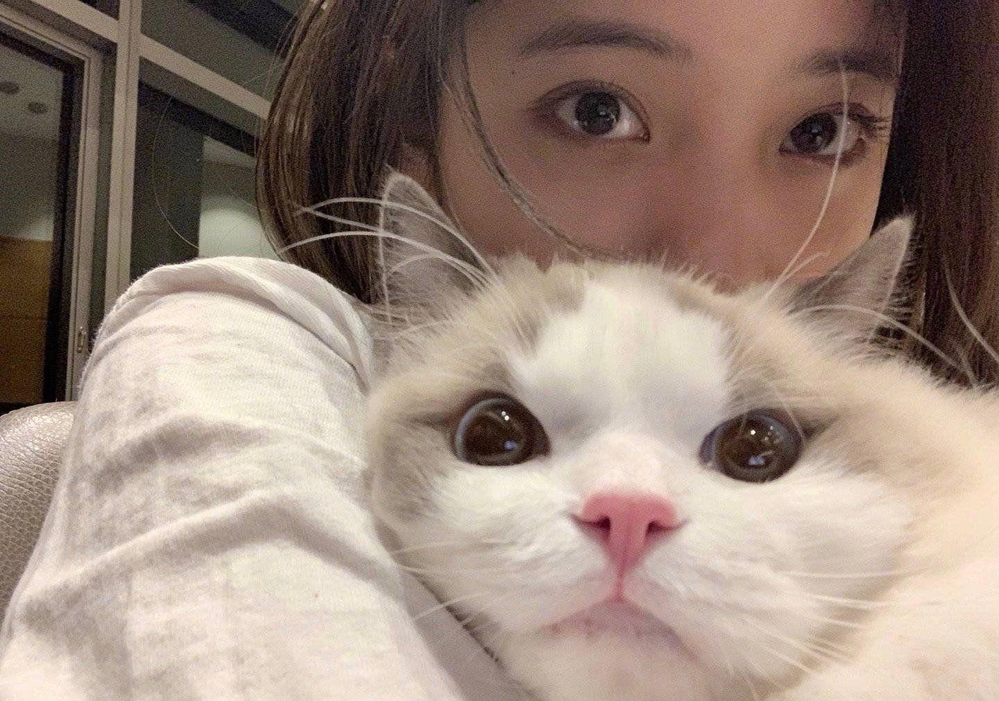 你用过哪些有趣或有意义的微信朋友圈背景图