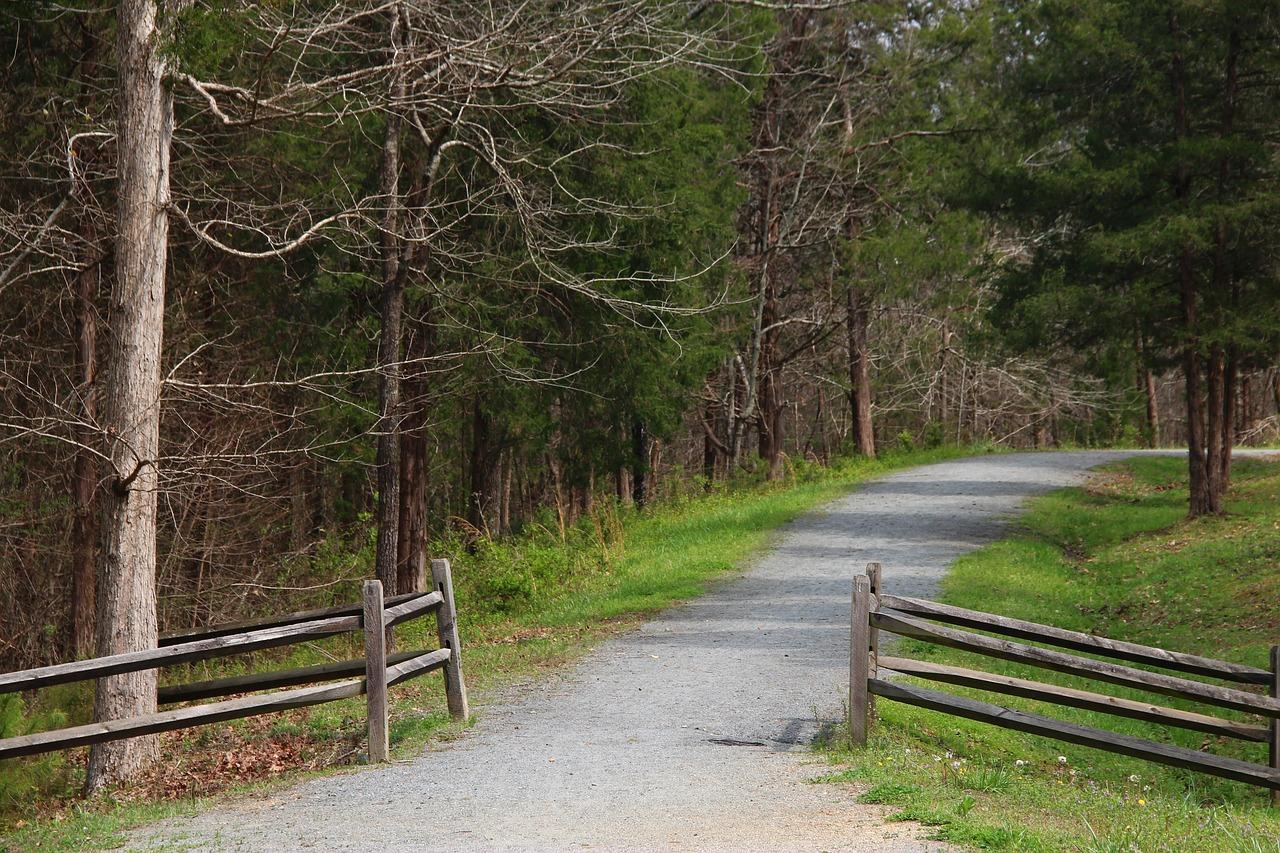 4. 南码头生态园