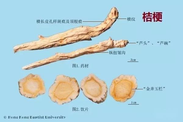 223种中药的鉴别图谱（彩图注释） - 知乎