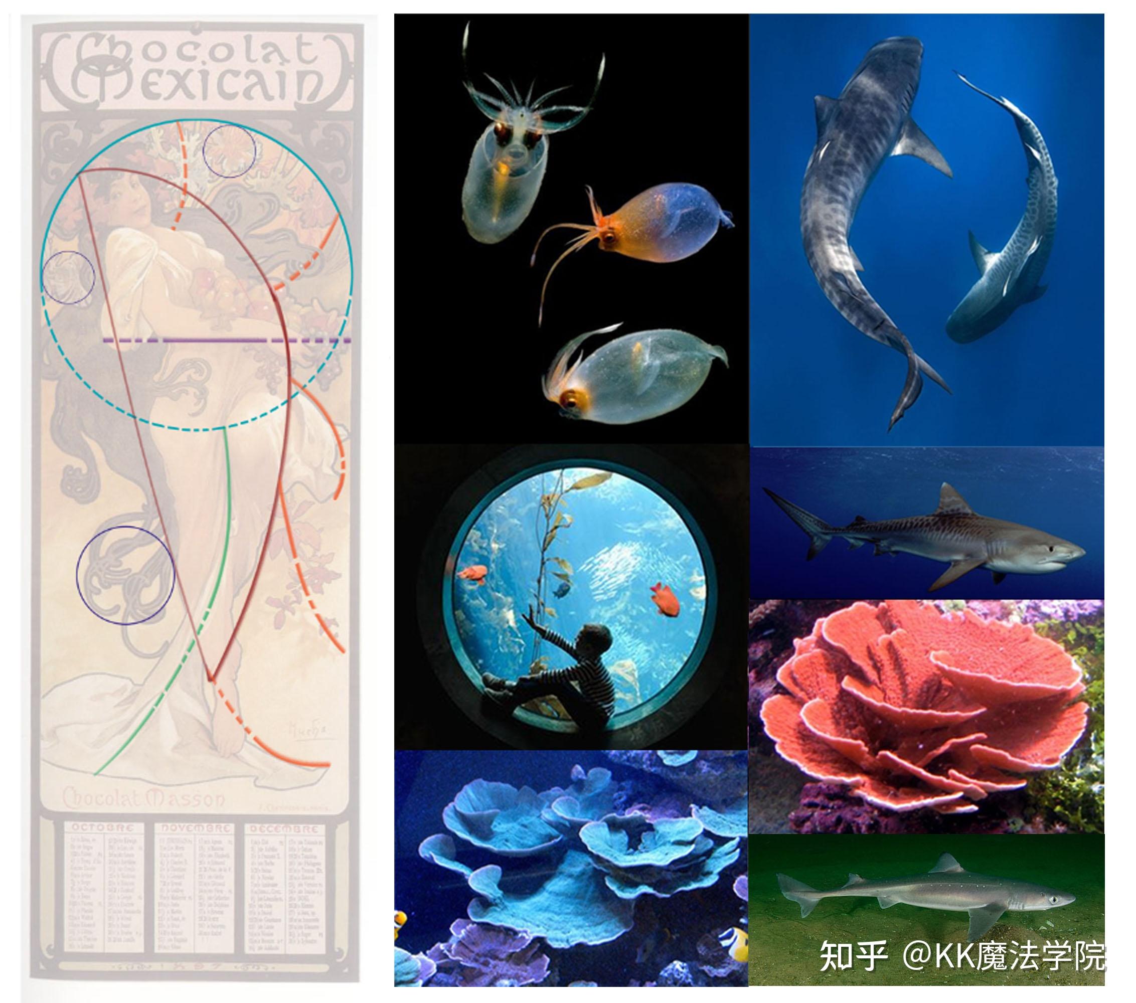 元素接着进行了头脑风暴,进而联想到了在幽深的海洋透进来的一丝丝光