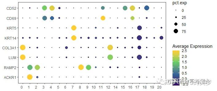 单细胞基因个性化作图之气泡图 - 知乎