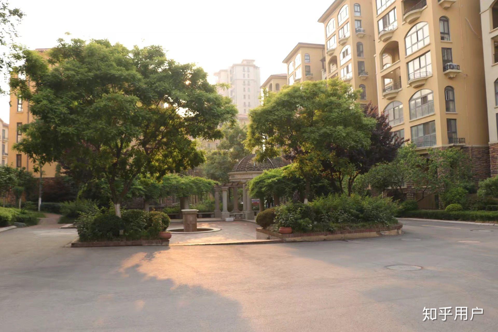 植被有什么坏处