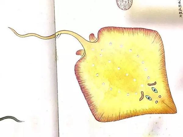 没想到你竟然是这样的咸鱼 2 3 知乎