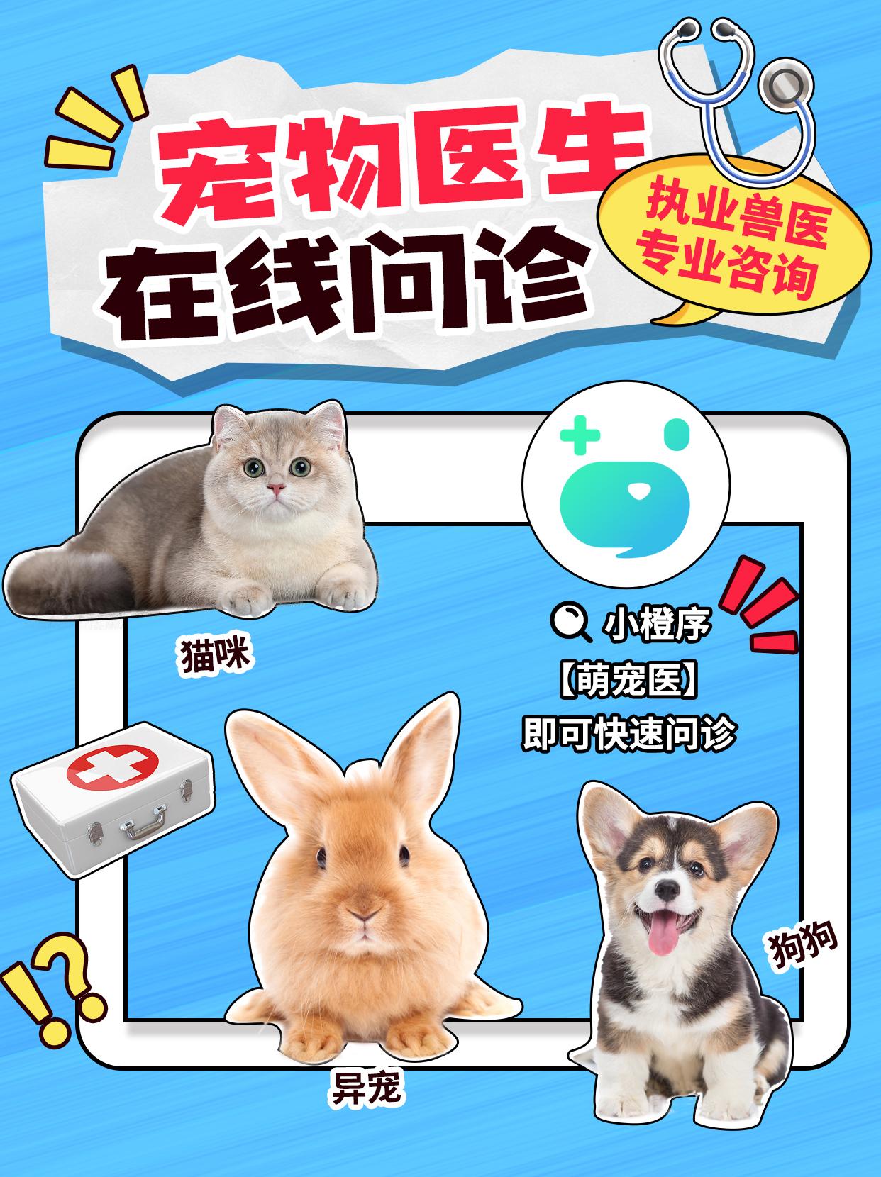 开元棋牌- 开元棋牌官网 - 开元棋牌APP下载年度规划Word模板