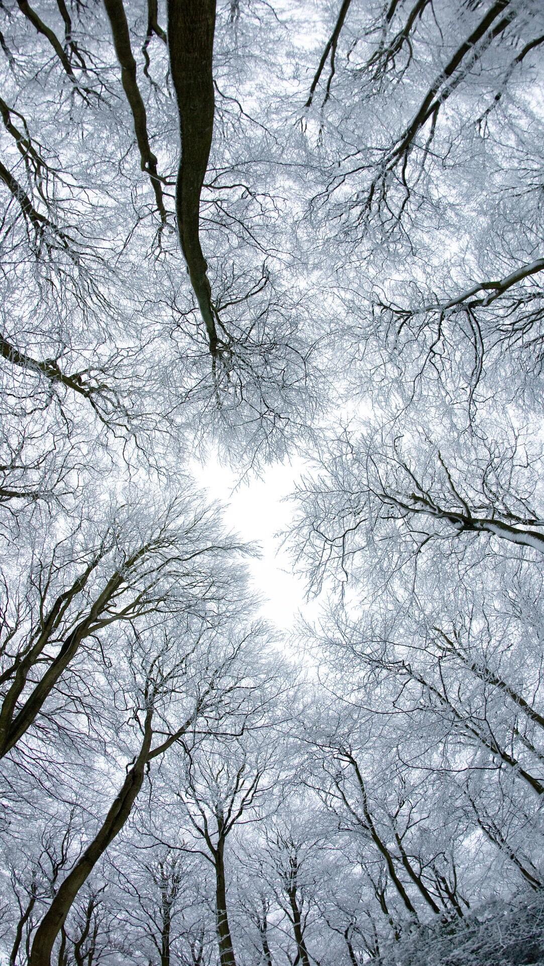 有哪些梦幻唯美意境深远开阔颜色淡雅以景为主的的壁纸或图片