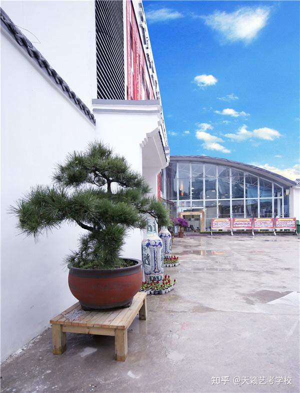成都天籁艺术培训学校