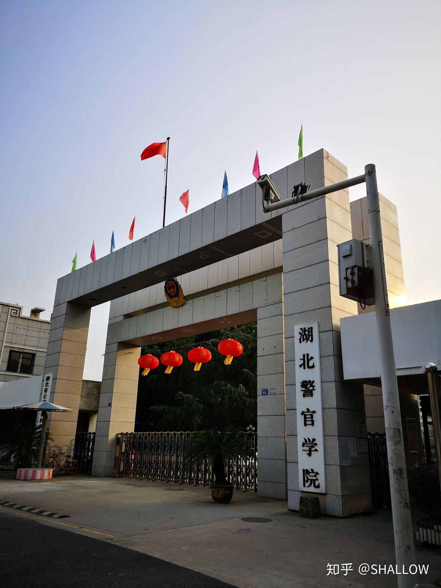 有哪些不经意拍出的惊艳照片? - 知乎