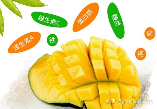 大青芒与其他芒果一样富含多种营养成分,包括丰富的糖,蛋白质,微量