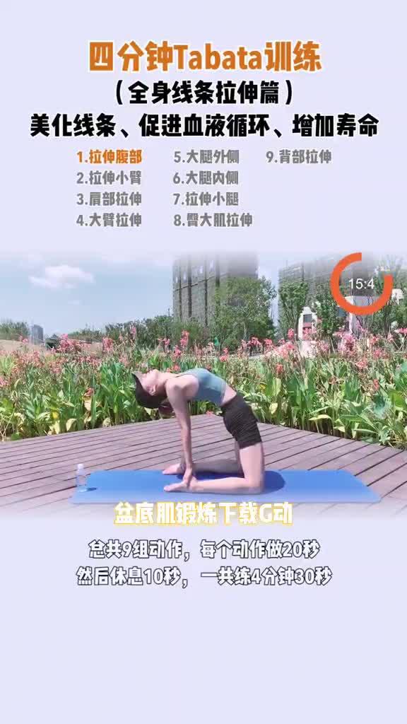 萨尔曼进阶训练