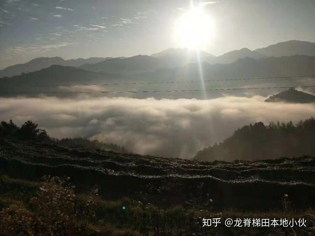 11月香港珠海到桂林,阳朔,龙脊梯田自助旅游游