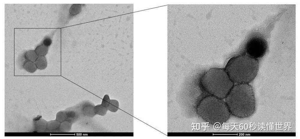 10月21日,星期五,在这里每天60秒读懂世界! 10月21日,星期五,在这里每天60秒读懂世界!