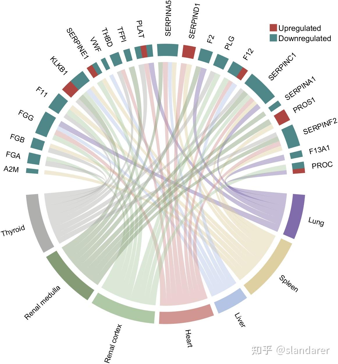 MATLAB | 全网唯一！使用MATLAB绘制好看的弦图！ - 知乎