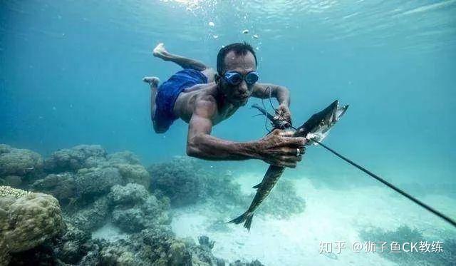 自由潜最强隐藏技能mdr哺乳动物潜水反射