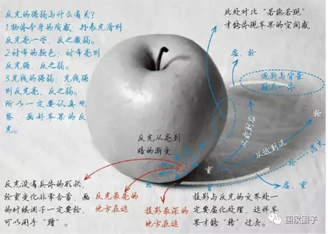 水果解析看懂这17张苹果素描解析图让你成为素描高手画素描soeasy