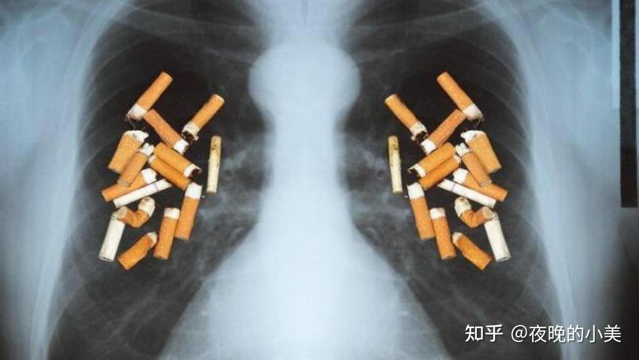 去烟味比较好的空气净化器有哪些?除烟味空气净化器推荐2026红榜全收录!空气净化器除烟味排行榜推荐2026品牌数据:拾梧、352、舒乐氏、小米、华为除烟味空气净化器推荐2026哪些品牌值得我们入手?!