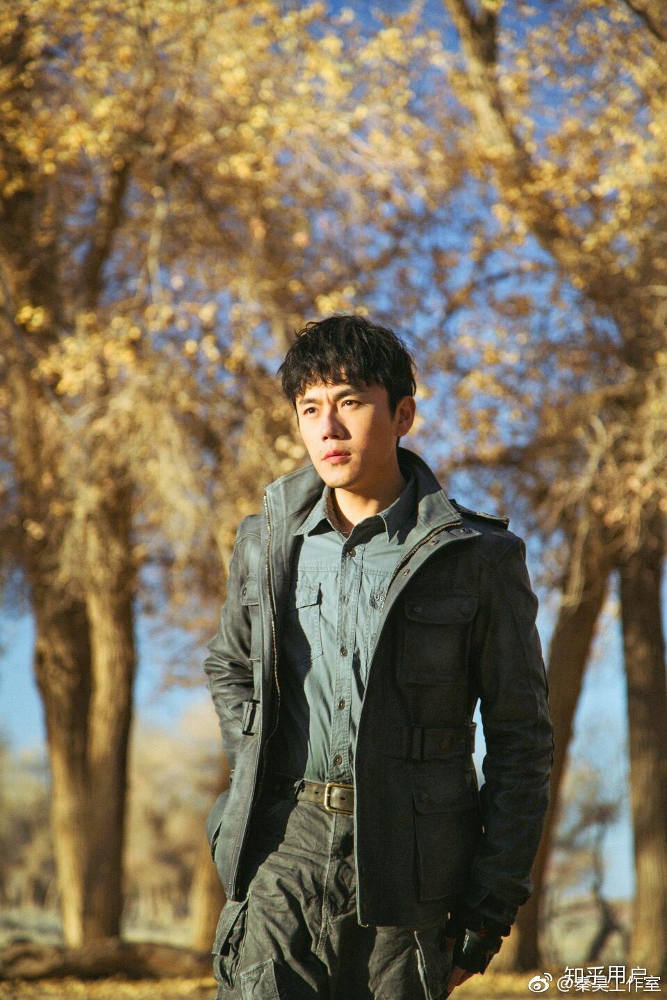 如何评价演员秦昊