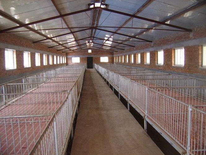 如何建一个高效的养猪场？都需要哪些设施？养猪人必看的干货分享 - 知乎