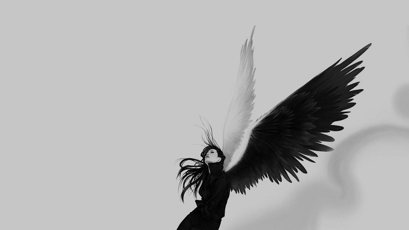 有哪些令人难忘的极简的黑白的电脑桌面?