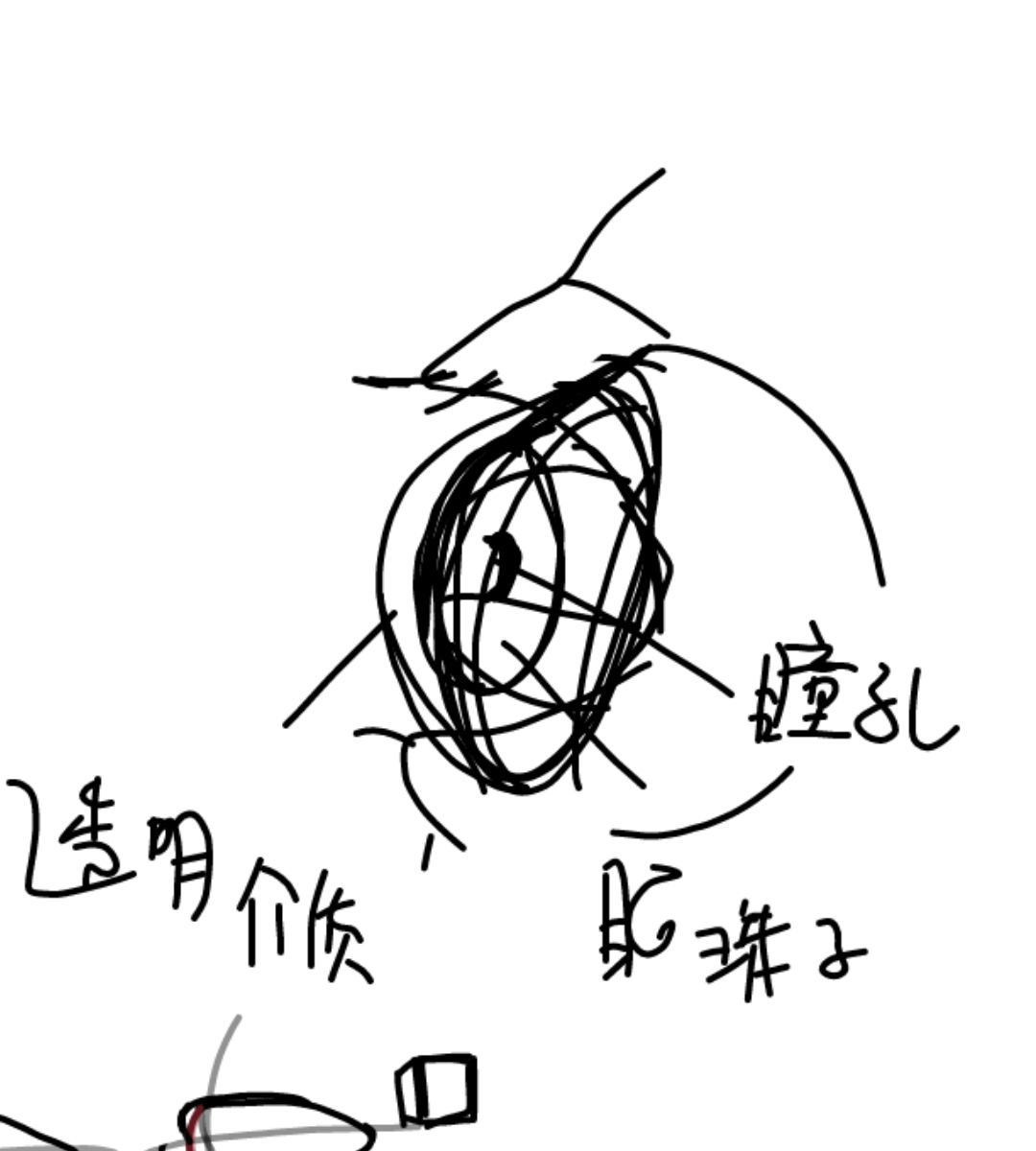 v2-09e710c4b503ca7eb326919132d4d757_r.jpg