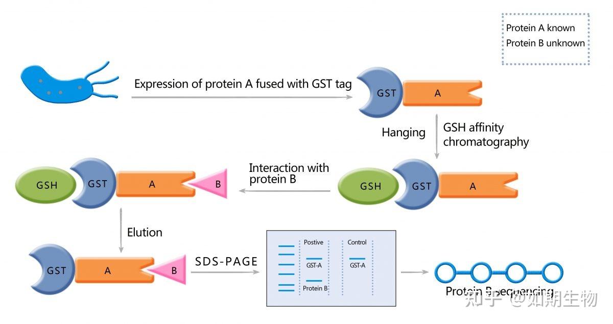 gst-pull-down