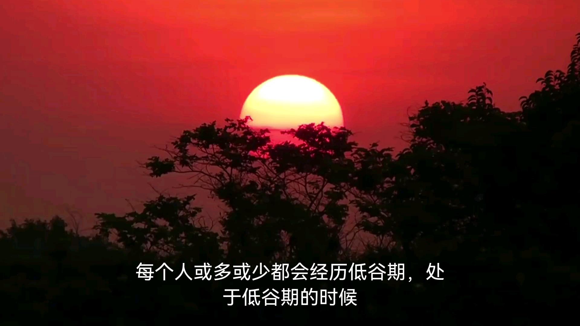 处于低谷期要多读这些励志的句子