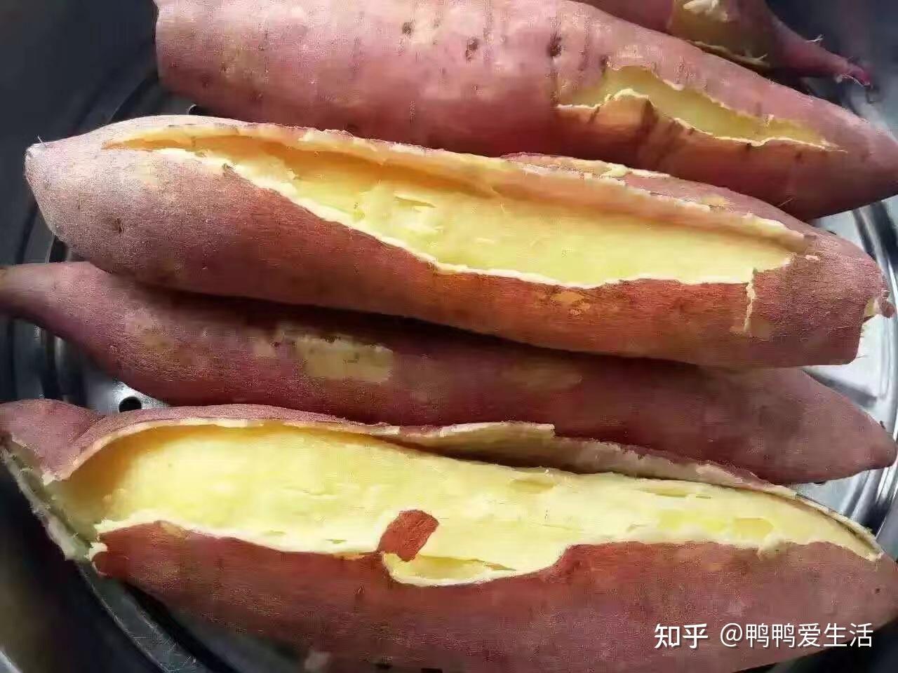 秦薯8号红薯品种图片