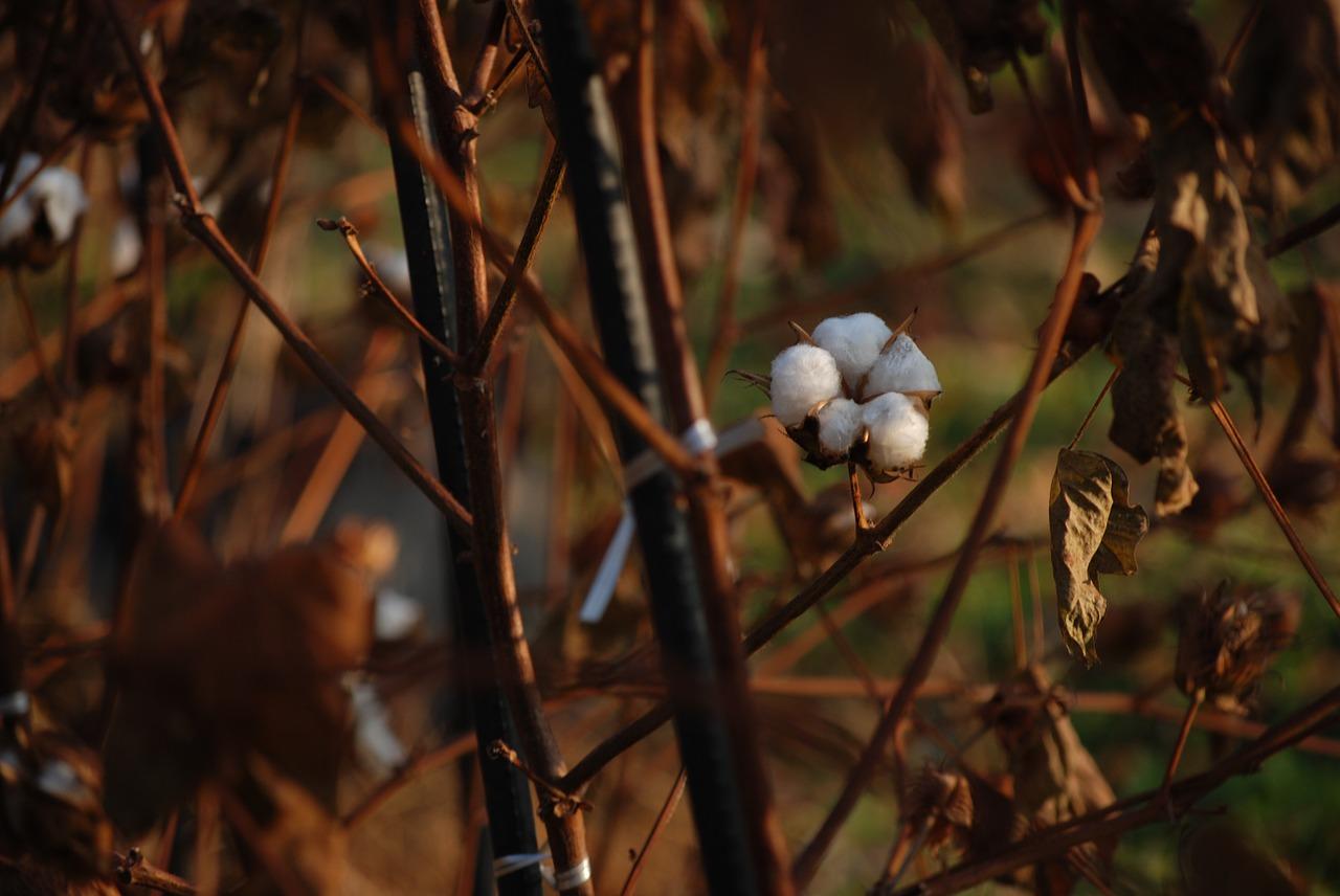 2. 一米聚酯纤维价