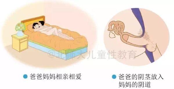 难以启齿的性教育丨妈妈我是怎么来的你知道该如何回答吗