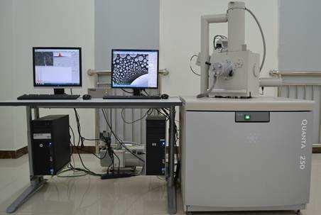 【动图秒懂】四大显微设备SEM、TEM、AFM、STM工作原理,看图说话 - 知乎
