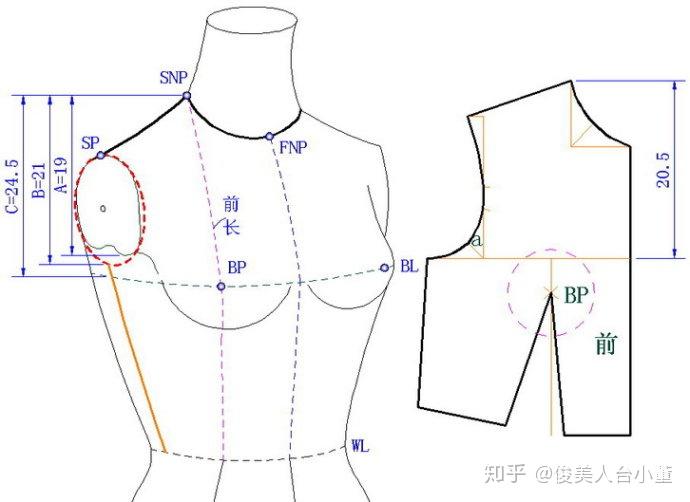 图-b5.不同款式女上装袖窿深的取值方式:a.