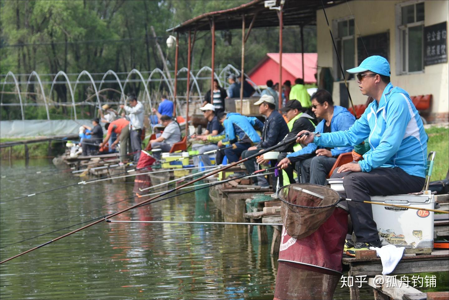新手钓鱼入门不要慌,这一篇就够了!