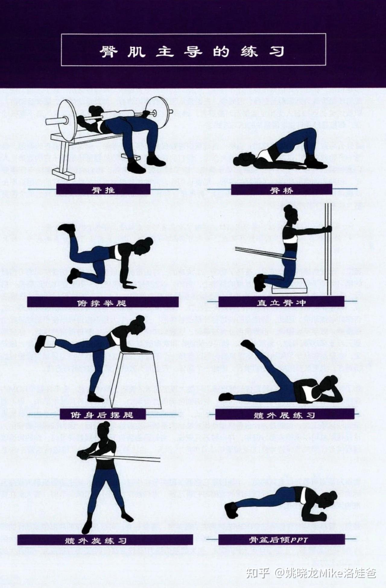 有哪些方法能锻炼自己的臀大肌?