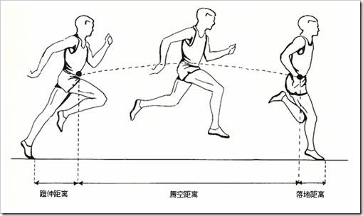 1,跑步姿势短跑,长跑,快跑,慢跑,专业还是非专业运动员,姿势跑步法