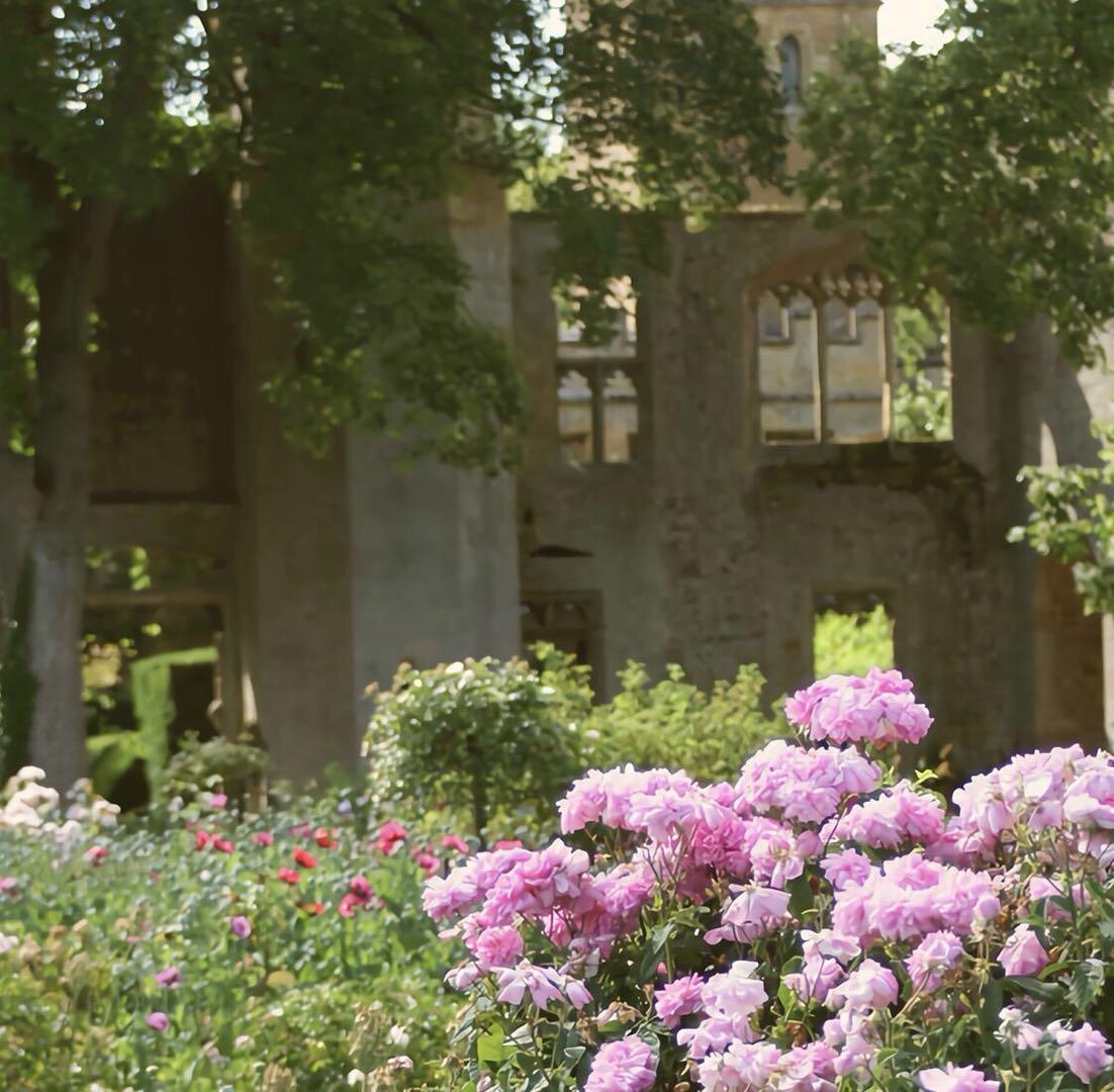 牛津书虫简爱16桑菲尔德庄园举办了几天的家庭聚会这却让简爱的爱更加