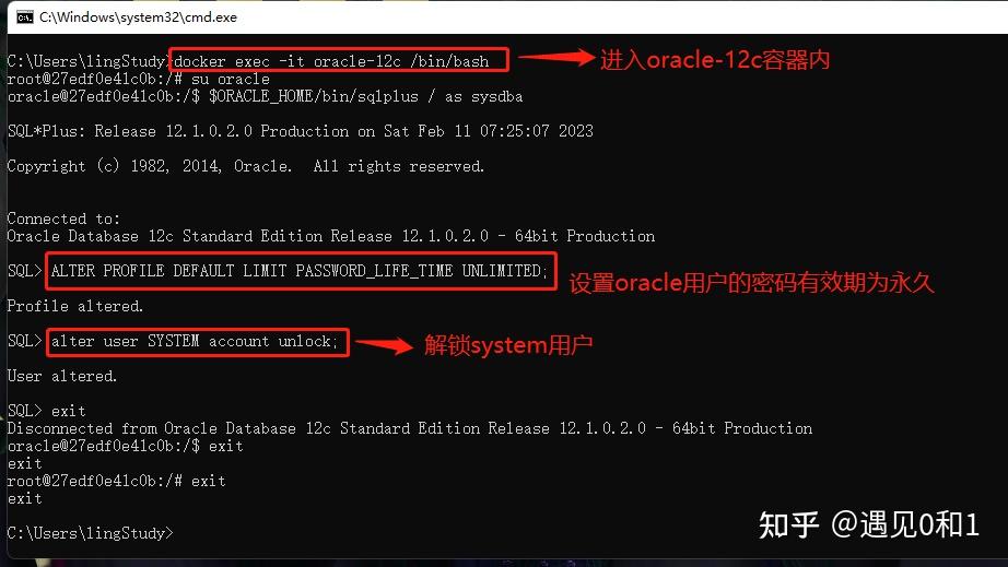 Docker oracle 12c 