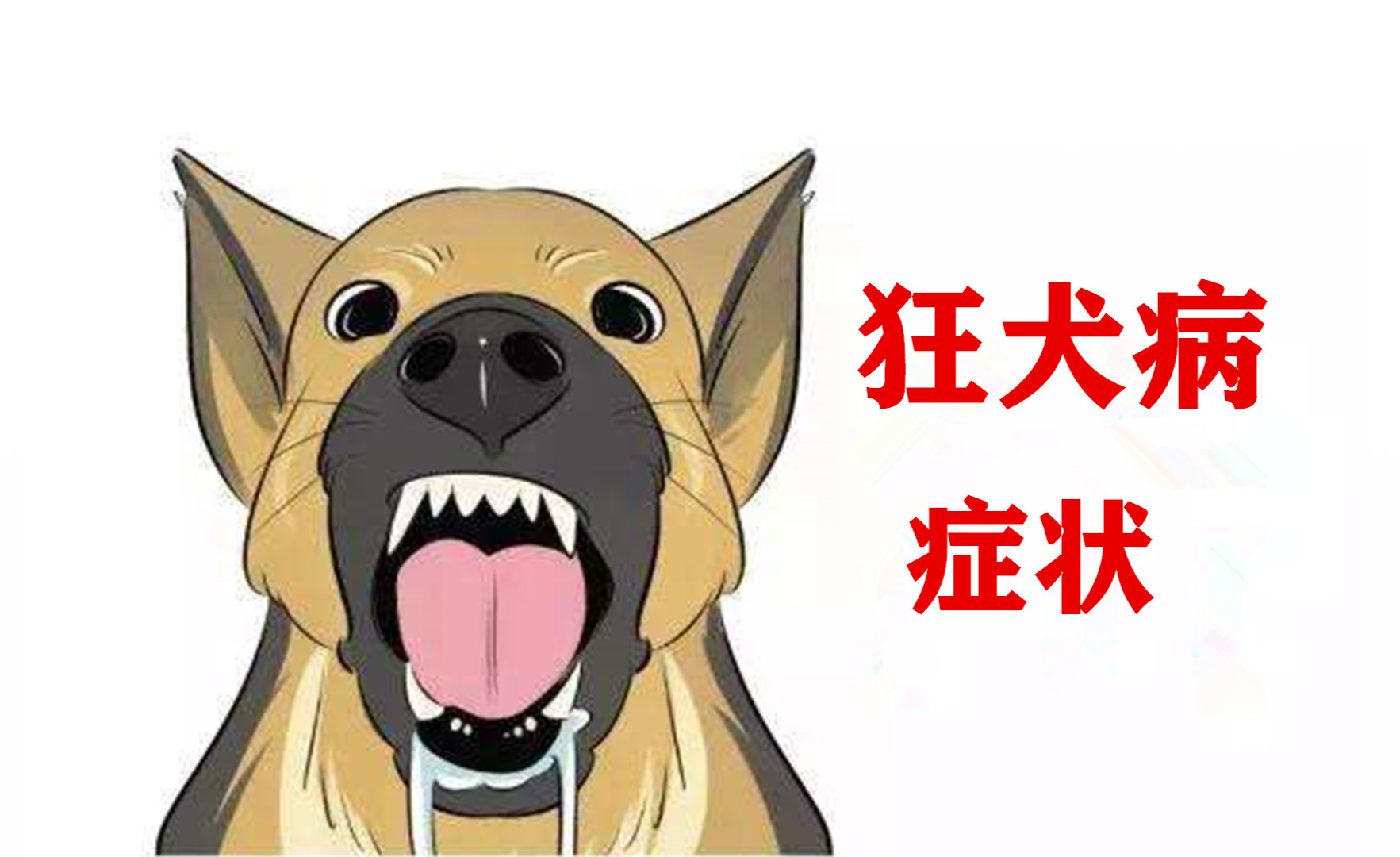 【fp研究所】狂犬病是什么丨丧尸与狂犬病的关系丨得了狂犬病会死吗