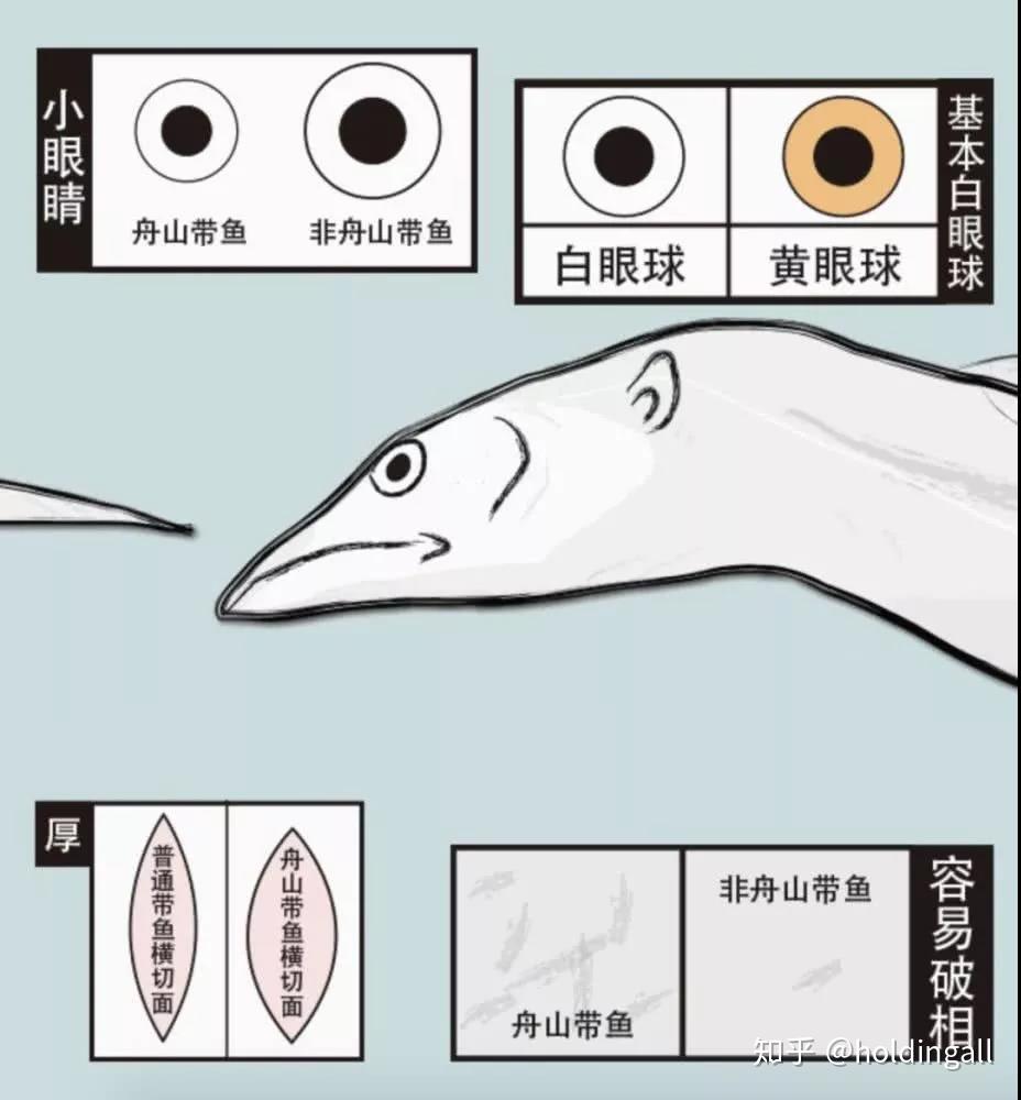 接下来来讲讲中国最好吃的带鱼------舟山带鱼(自认为)