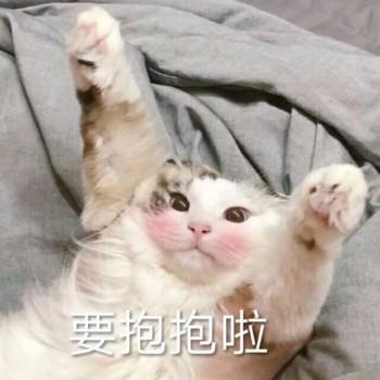 女生撒娇专用表情包,速速收藏! - 知乎