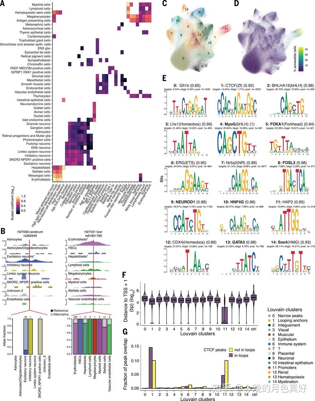 heritability enrichment and coaccessibility of candidate