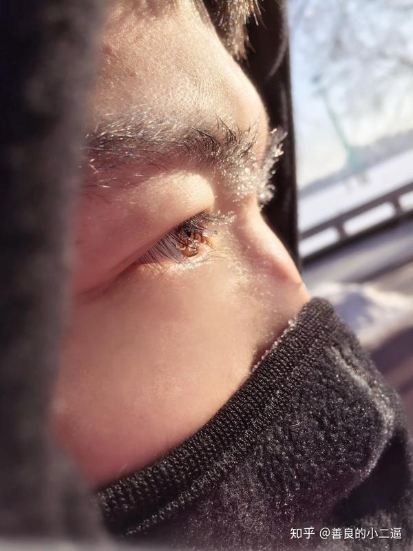 想放图又不知道放啥,就莫名喜欢在哈尔滨这张图,虽然睫毛都被冻上了