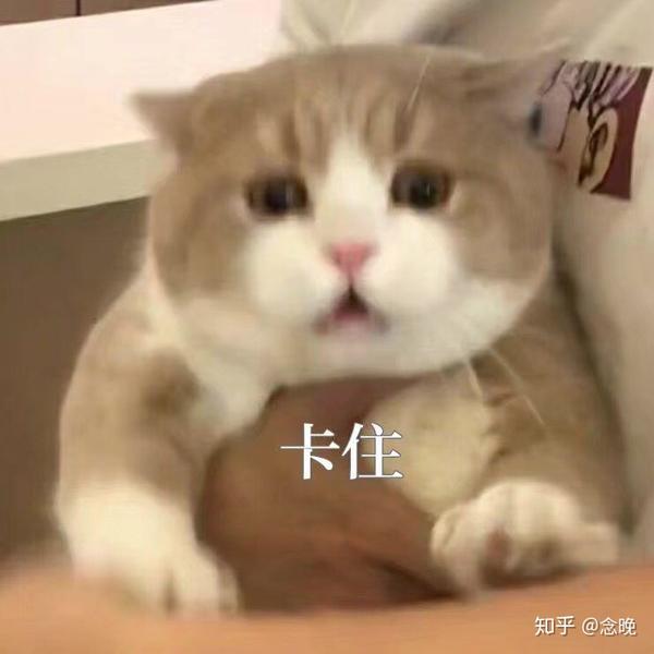 第一卷小女配呀,地里黄啊- 知乎