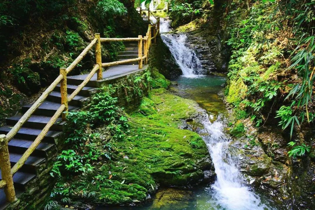 重庆金佛山旅游（重庆金佛山旅游攻略二日游） 重庆金佛山旅游（重庆金佛山旅游攻略二日游）《重庆金佛山游玩攻略》 旅游攻略