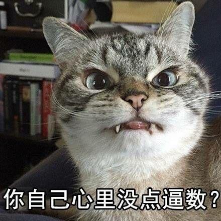 怎么看我抽烟我喝酒我烫头纹身打耳洞一个不落