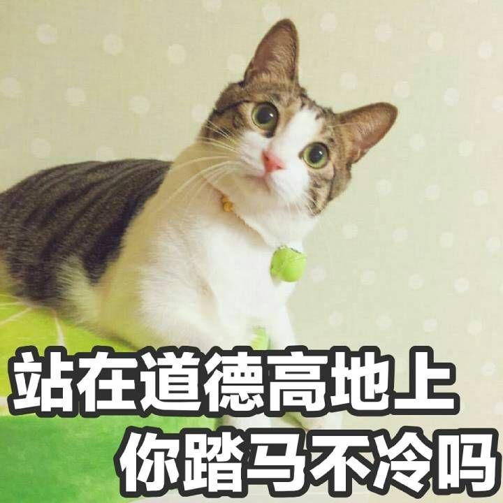 v2-0ab9998fdcd3bf2fc47cf55e85766228_r.jpg