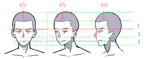 绘学霸:关于人体头部的概括以及三庭五眼到底是什么? zhuanlan.zhihu.